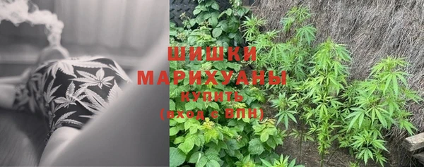 трава Абаза