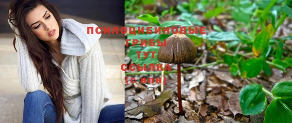 трава Абаза