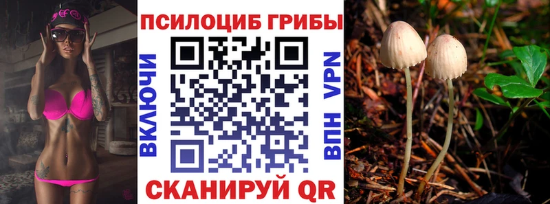 Галлюциногенные грибы Magic Shrooms  Балахна 